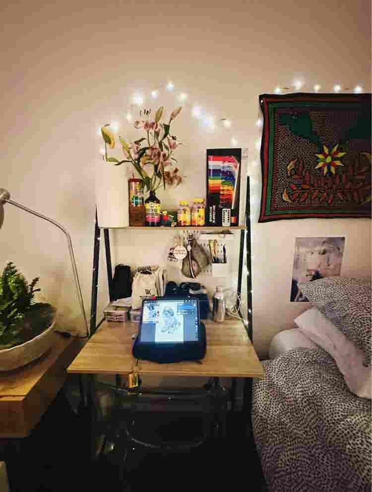 Female Roomie wanted