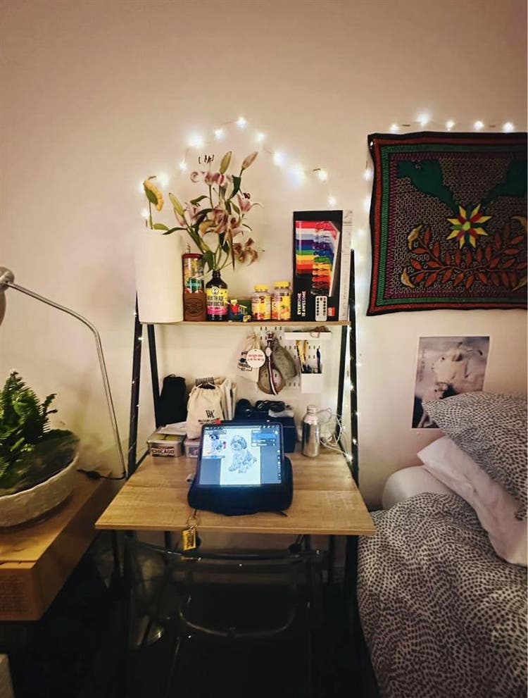 Female Roomie wanted