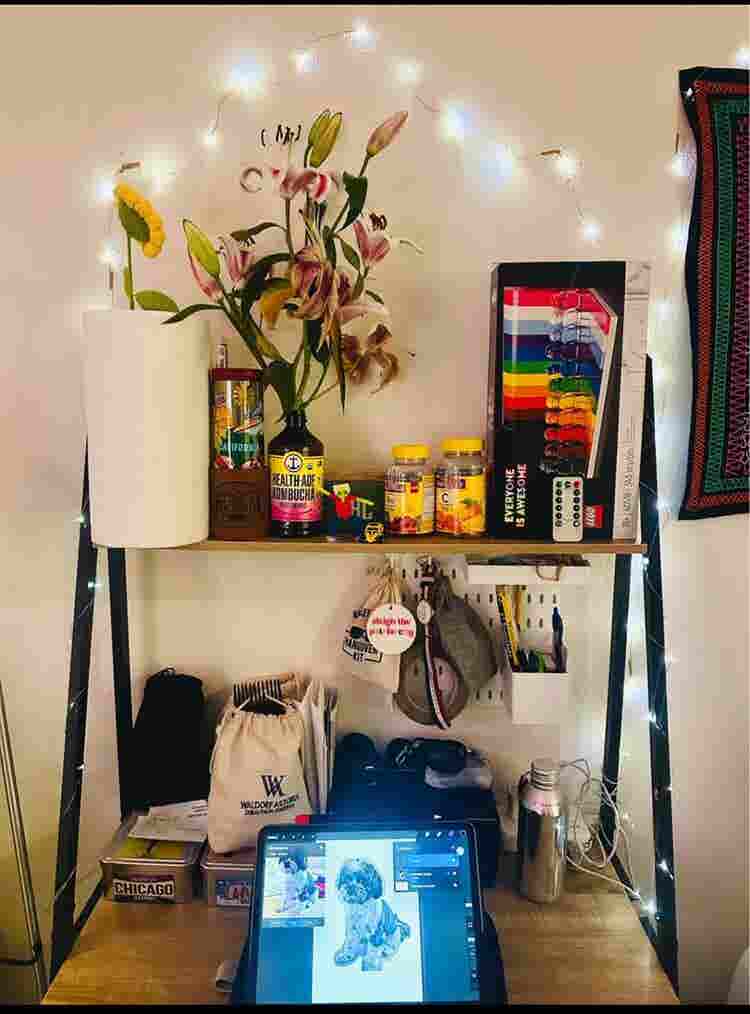 Female Roomie wanted