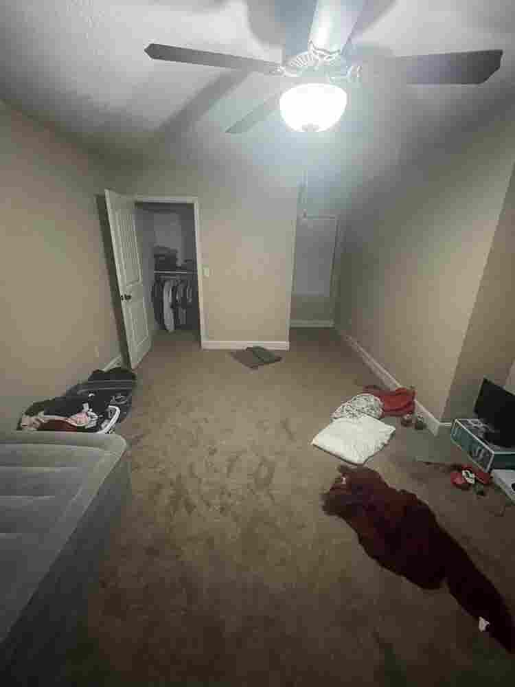 Roommate $/Month
