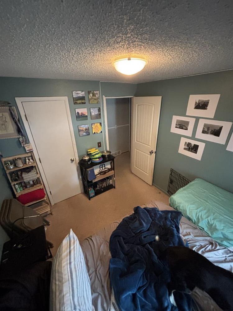 Room Available - Arvada, CO.