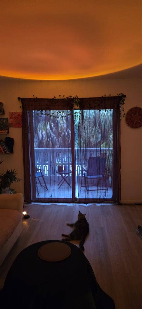 Room in Little Havana Calle 8