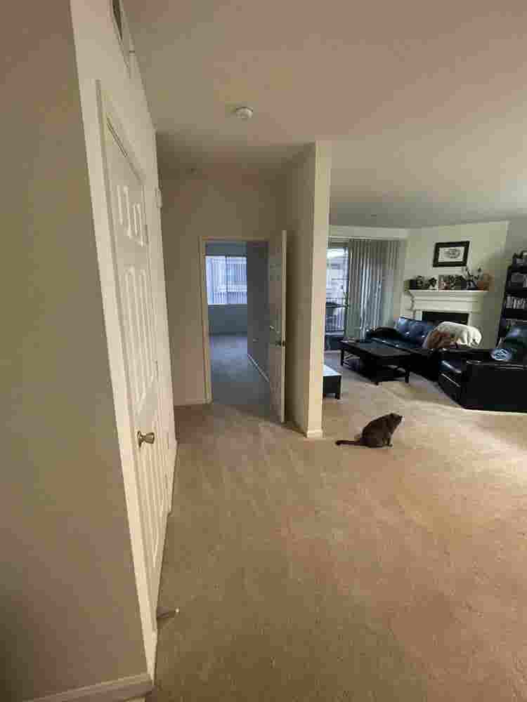 Clean & responsible roommate wanted
