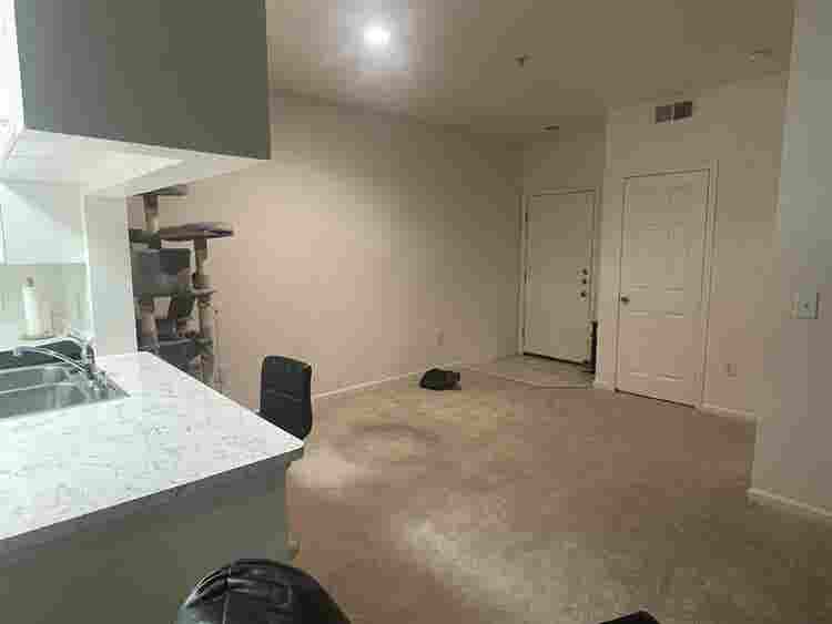 Clean & responsible roommate wanted