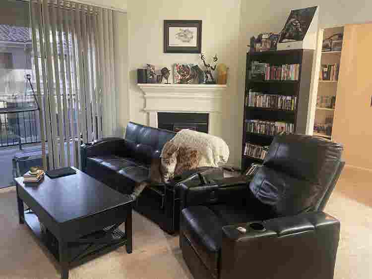 Clean & responsible roommate wanted
