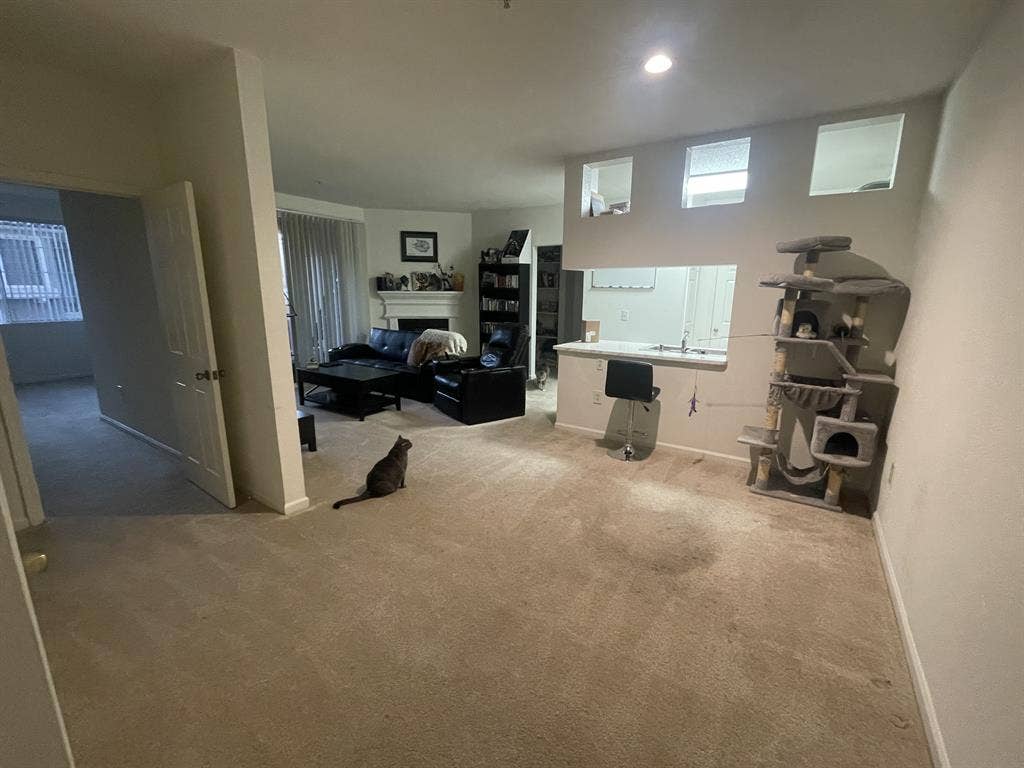 Clean & responsible roommate wanted
