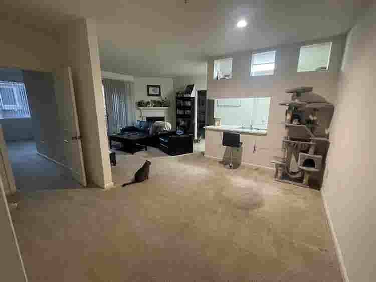 Clean & responsible roommate wanted