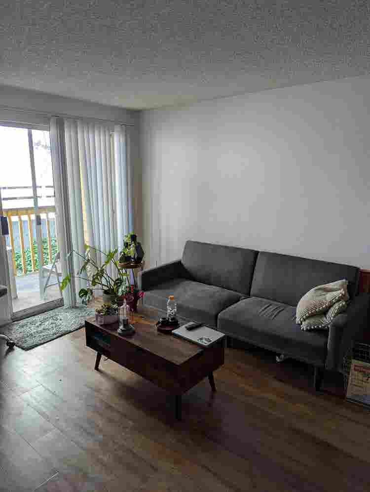 Private room & bathroom available