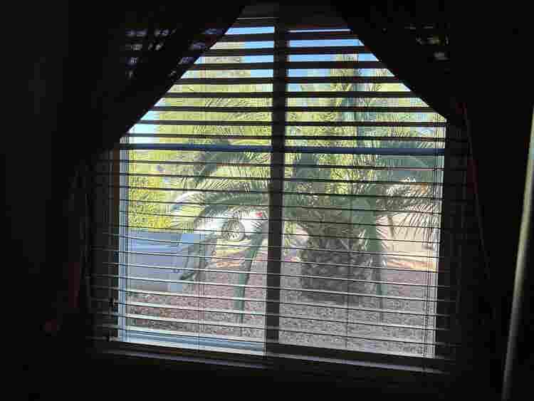 Private furnished room