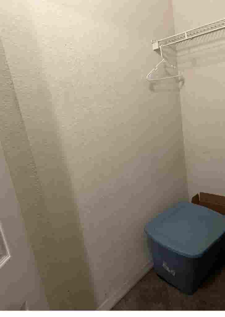 Shared apartment with amenities