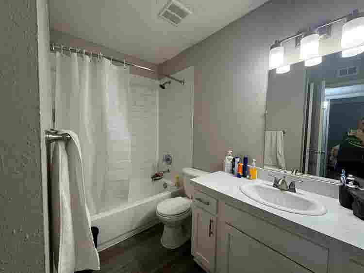 Beautiful Apartment Rent