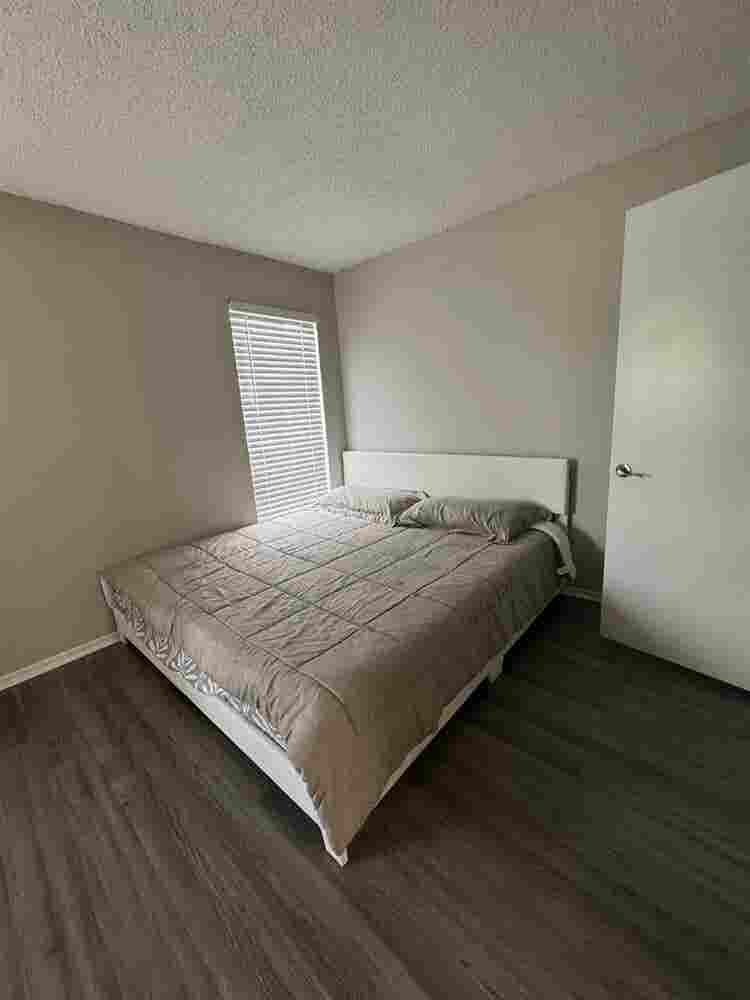 Beautiful Apartment Rent