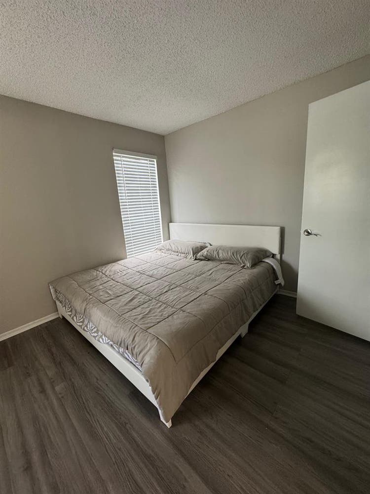 Beautiful Apartment Rent