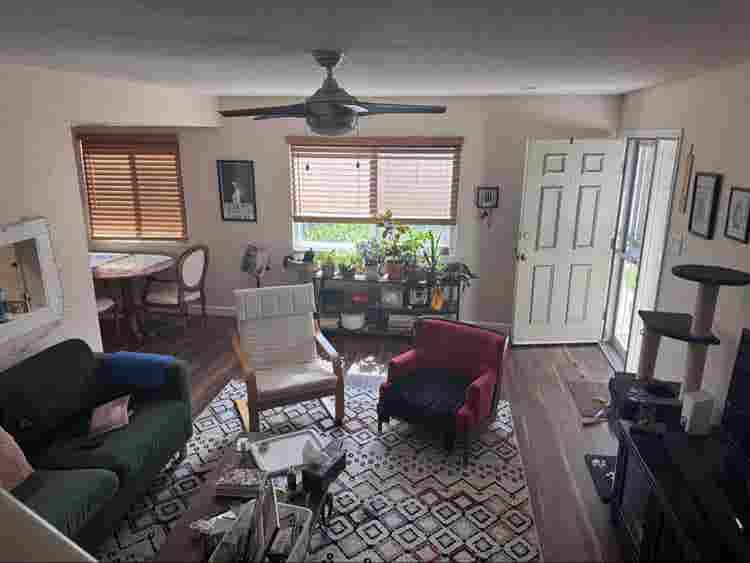 Roommate/Housemate wanted!