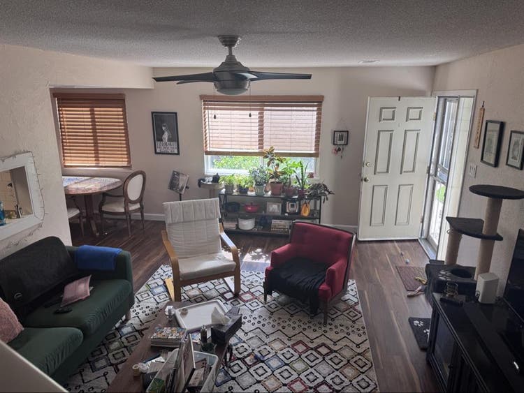 Roommate/Housemate wanted!
