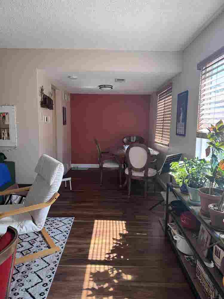 Roommate/Housemate wanted!
