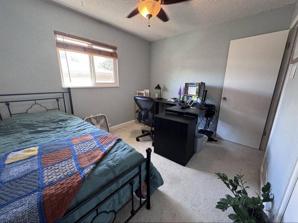 Roommate/Housemate wanted!