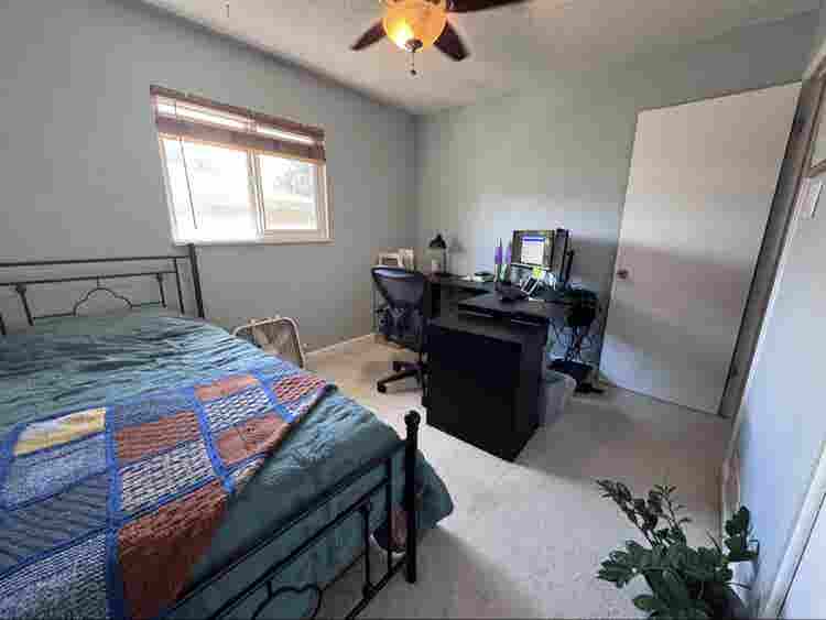 Roommate/Housemate wanted!