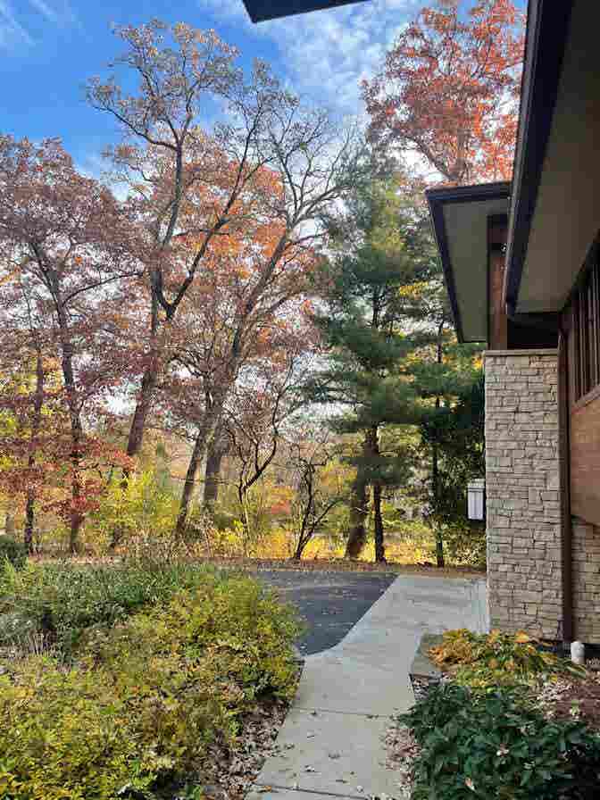 Furnished BR w Full Bath in woods