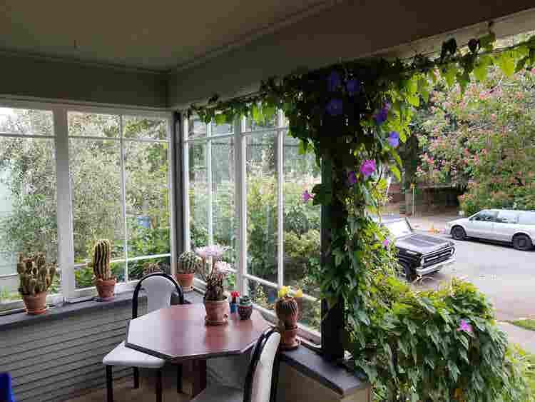 Spacious Sunny Suite in Berkeley