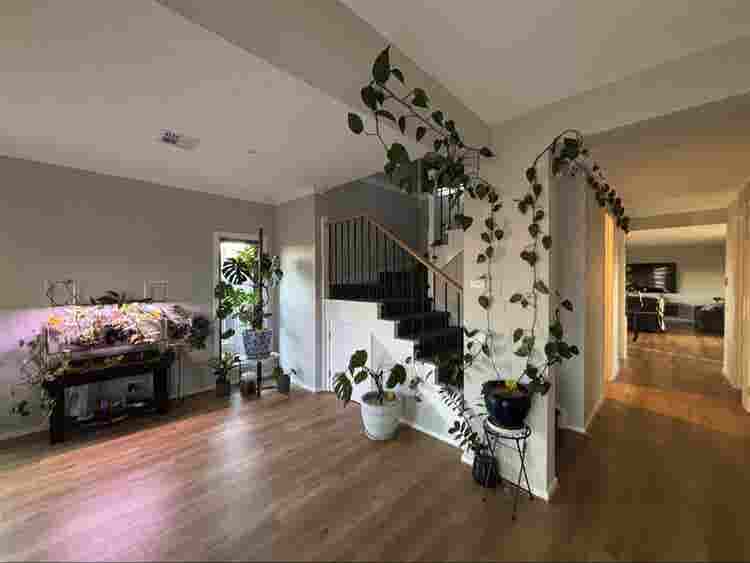 Room for Rent in Truganina