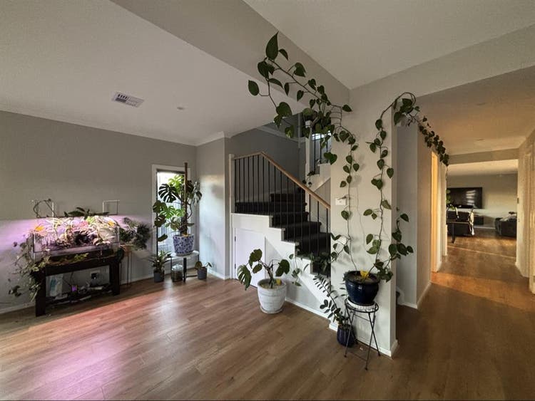Room for Rent in Truganina