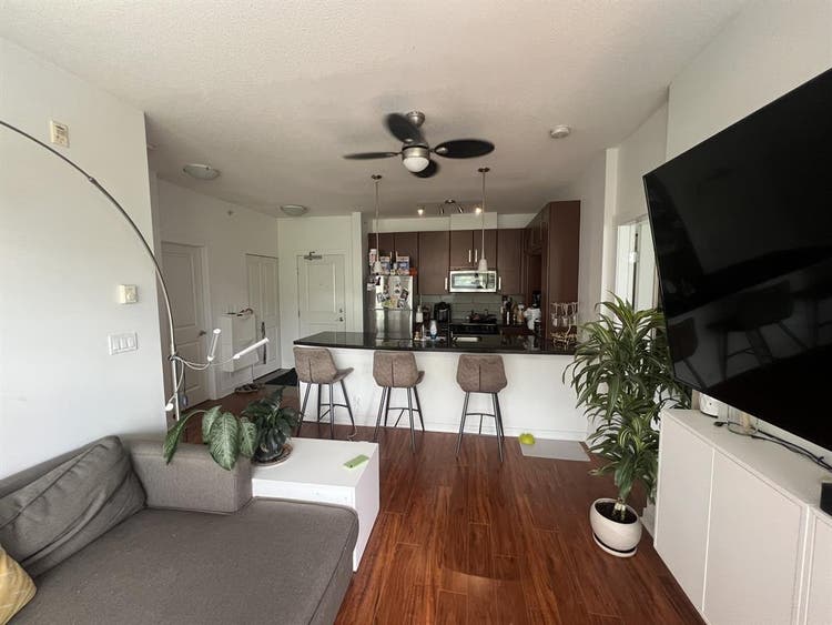 Pet-Friendly Condo