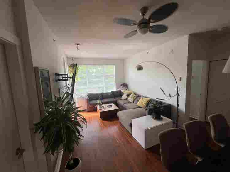 Pet-Friendly Condo