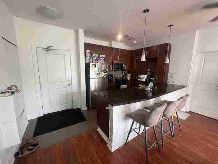 Pet-Friendly Condo