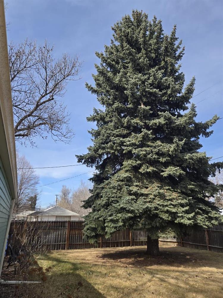 Loveland Private Room Available