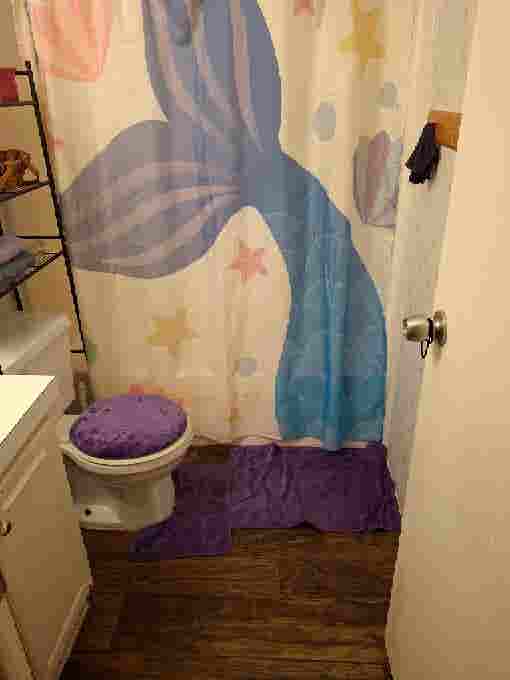 Roommate wanted $. Wifi included