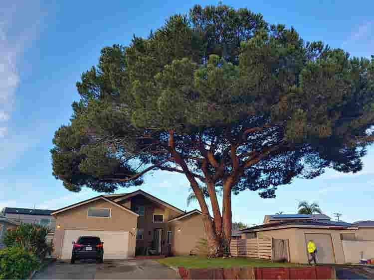 Room Available next to SDSU