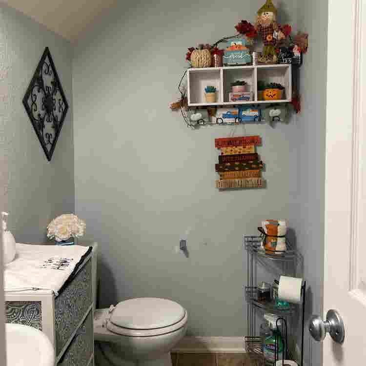 looking for a roommate.