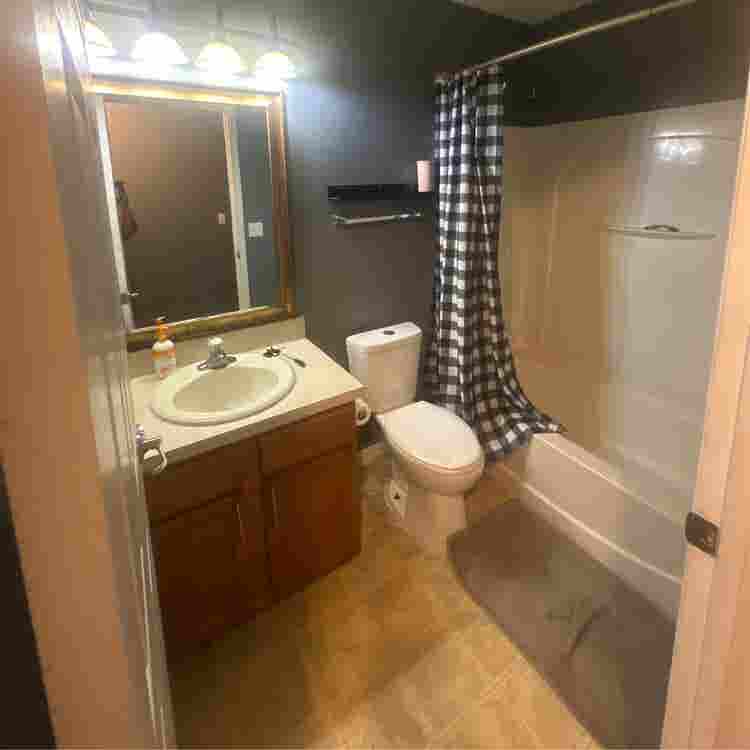 Roommate opportunity