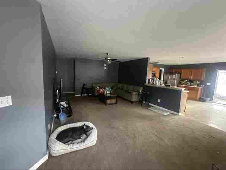 Roommate opportunity