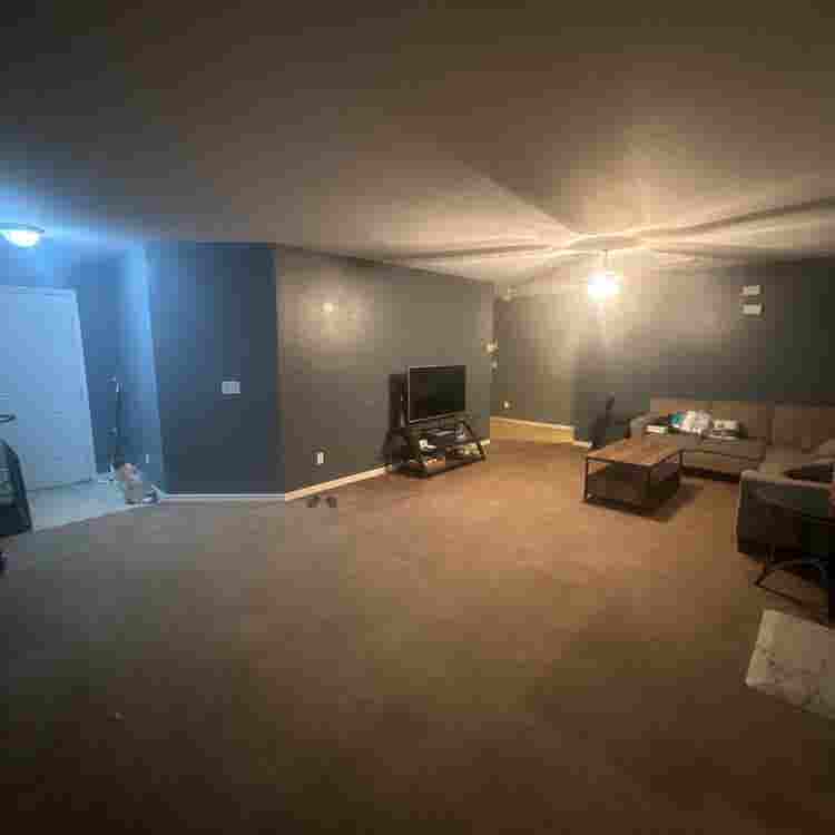 Roommate opportunity