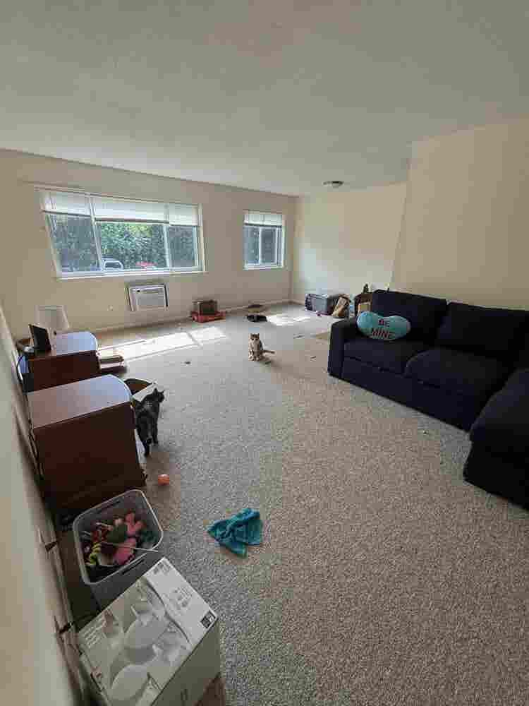 Roommate wanted!