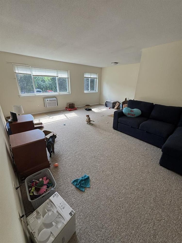 Roommate wanted!