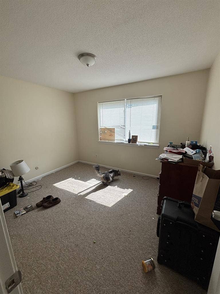 Roommate wanted!