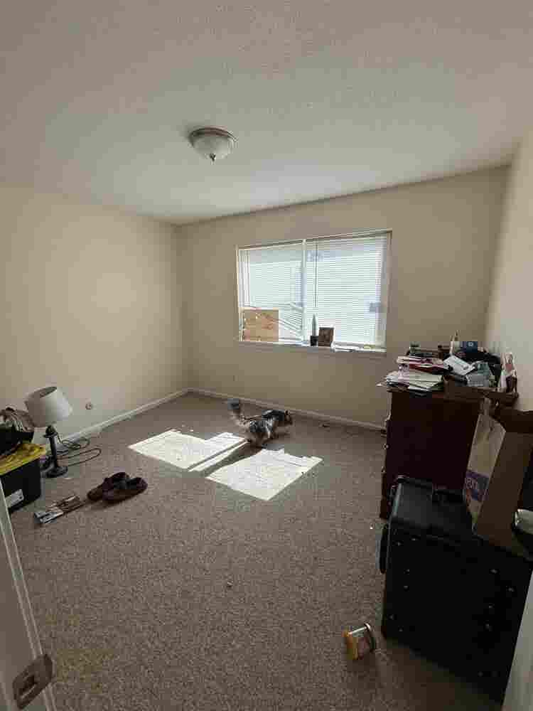 Roommate wanted!