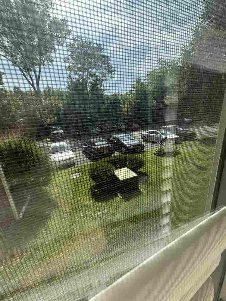 Roommate wanted!