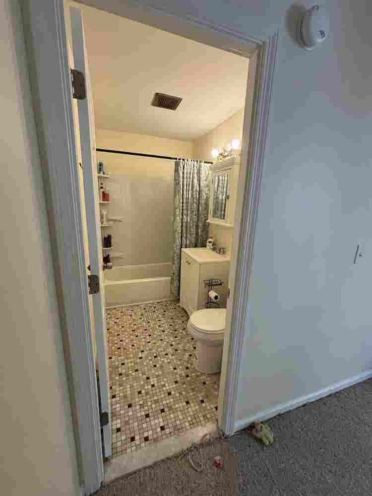 Roommate wanted!