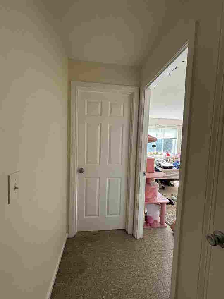 Roommate wanted!