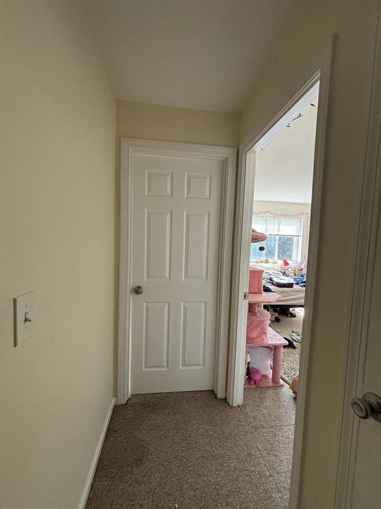 Roommate wanted!