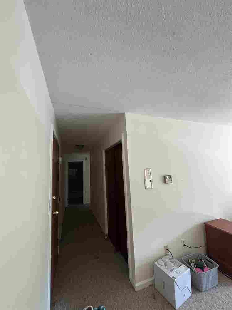 Roommate wanted!