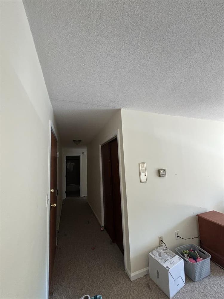 Roommate wanted!