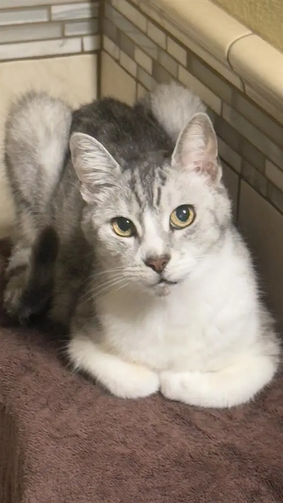 Quiet Neigborhood, Freeways Close