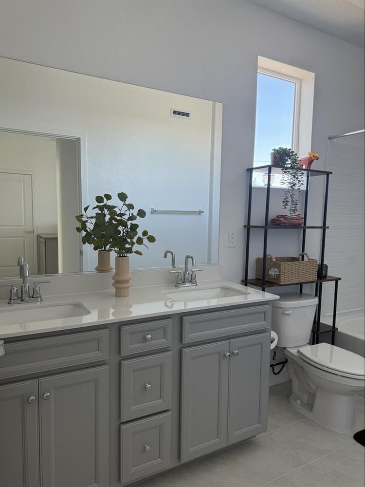 Looking for a roommate!