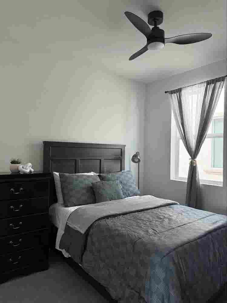 Looking for a roommate!
