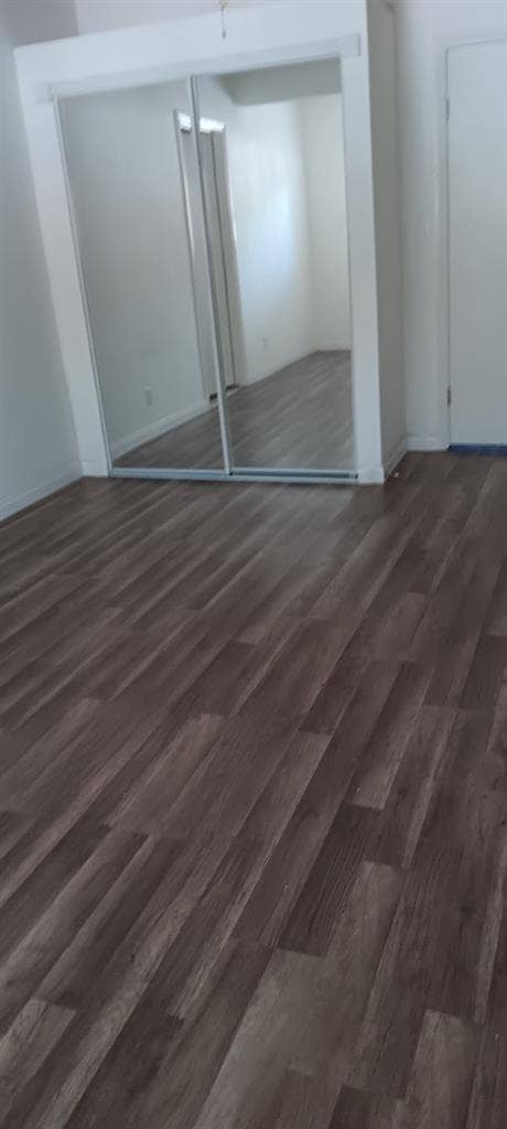 Looking for a Roommate